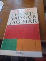 Vad g&ouml;r jag h&auml;r