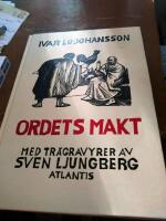 Ordets makt : historien om spr&aring;ket