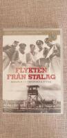 Flykten fr&aring;n Stalag