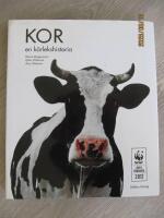 Kor : en k&auml;rlekshistoria