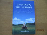 Upplysning till vardags : meditationer f&ouml;r ett &ouml;ppet sinne och en fri sj&auml;l - p&aring; jobbet, hemma och f&ouml;