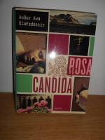 Rosa Candida