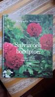 Salvia och bondpion : i tr&auml;dg&aring;rdar och t&auml;ppor p&aring; Skansen
