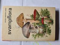 Svampflora