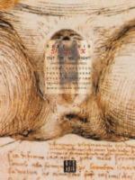 Keep this sex out of my sight (The Undisplayable of Female Sex as Revealed by Women)