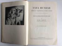 V&aring;ra Hundar