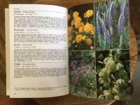 Tr&auml;dg&aring;rdsboken : en systematisk och &ouml;versk&aring;dlig handbok : [med 448 f&auml;rgbilder] : [sommarblommor, perenna v&auml;xter och v&auml;xter med vedartad stam]