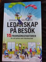 Ledarskap p&aring; bes&ouml;k : 15 framg&aring;ngsfaktorer f&ouml;r att lyckas som interimschef