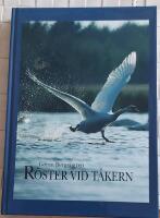 R&ouml;ster vid T&aring;kern
