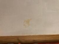 Johan, Lotta och Jockos &auml;ventyr: Kobrornas dal, Karamakos utbrott del 2, Direkt&ouml;r Pumps testamente del 1