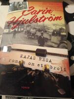 Kajas resa : [en roman om ett brott]
