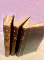 Hom&ouml;opatisk terapi