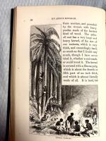 My Apingi Kingdom  with Life in the Great Sahara