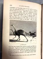 My Apingi Kingdom  with Life in the Great Sahara