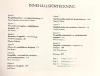 Kungah&auml;lla : problem och forskning kring stadens &auml;ldsta historia