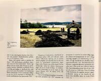 Kungah&auml;lla : problem och forskning kring stadens &auml;ldsta historia