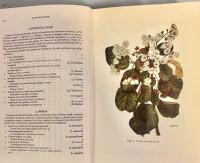 Kenya Trees & Shrubs