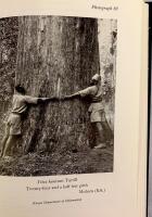 Kenya Trees & Shrubs