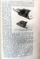 The Descent of Man and Selection in Relation to sex