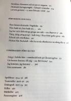 Jakten p&aring; Edvard : Om Edvard Persson, filmerna och de som var med n&auml;r det b