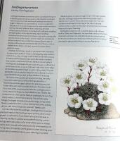 Alpines - from mountain to garden