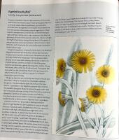 Alpines - from mountain to garden