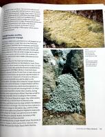 Alpines - from mountain to garden