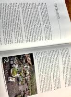 Alpine Plants of North America