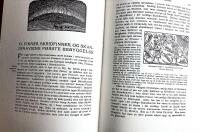 Nord i T&aring;keheimen  Utforskningen av jordens nordlige str&ouml;k i tidlige tider