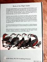 Birds of the High Andes