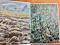 Birds of the High Andes