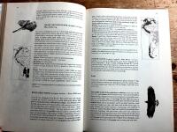 Birds of the High Andes