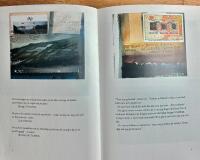 Gr&aring; resa - Februaribrev fr&aring;n Reykjavik