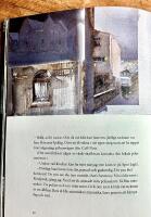 Gr&aring; resa - Februaribrev fr&aring;n Reykjavik