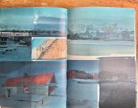 Gr&aring; resa - Februaribrev fr&aring;n Reykjavik