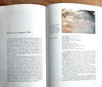 Solens skepp och Als stenar : gudasymbol, astronomisk helgedom, sol&aring;rskalender och solvisare