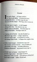 Nibelungens&aring;ngen (lev.litt.)