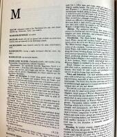 A dictionary of birds