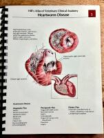 Hill's Atlas of Veterinary Clinical Anatomy