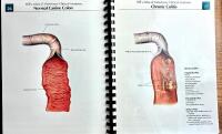 Hill's Atlas of Veterinary Clinical Anatomy