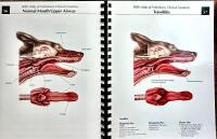 Hill's Atlas of Veterinary Clinical Anatomy
