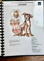 Hill's Atlas of Veterinary Clinical Anatomy