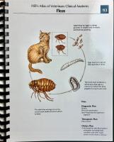 Hill's Atlas of Veterinary Clinical Anatomy