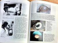 Diagnostic techniques in equine medicine - a textbook for students and practitioners describing diagnostic techniques applicable to the adult horse