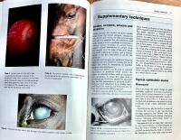 Diagnostic techniques in equine medicine - a textbook for students and practitioners describing diagnostic techniques applicable to the adult horse