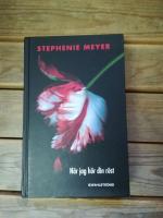 N&auml;r jag h&ouml;r din r&ouml;st