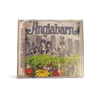 Änglabarn av Änglabarn-INPLASTAD-CD