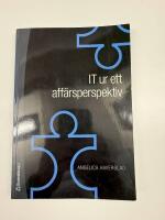 IT ur ett affärsperspektiv