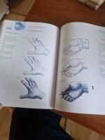 Anatomi f&ouml;r konstn&auml;rer : lekande l&auml;tt