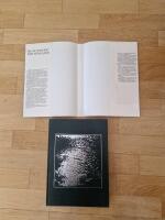 De glittrande vattnens land